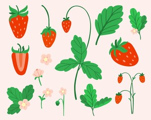 Strawberry set. Hand drawn fresh forest or garden berry collection. Whole juicy berries, bush with green leaves and flowers doodle summer element. Vector cartoon minimalistic isolated illustration