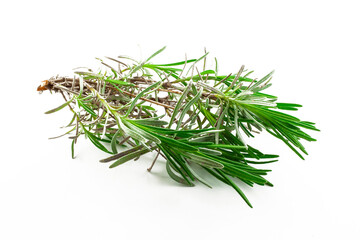 Fresh green leaf, natural environment, floral, foliage, single isolated object, design element