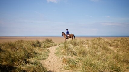 Horse with Rider