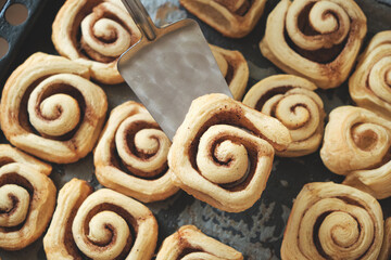 Cinnamon rolls, homemade cakes straight from oven.