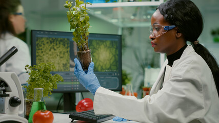 Woman researcher looking at green sapling comparing with tomato while typing on keyboard ecology expertise. Scientist observing genetic mutation on plants, working in agriculture laboratory