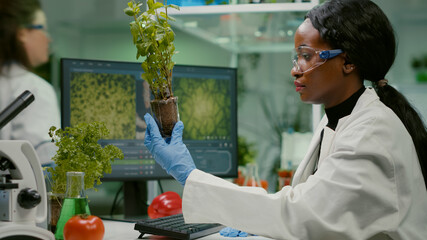 Woman researcher looking at green sapling comparing with tomato while typing on keyboard ecology...