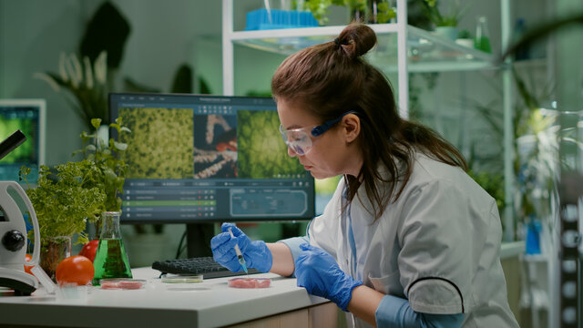 Chemist injecting vegan beef meat with protein using medical syringe for microbiology experiment. Biochemist woman researching vegetareian food modified genetically working in chemistry laboratory