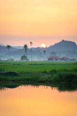 Obraz premium Green paddy field with golden sunrise. Coconut trees, morning fog and rural houses at the background.