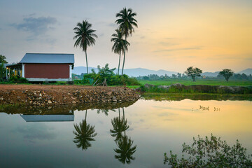 Landscape of countryside with house, coconut trees and hills at the horizon.