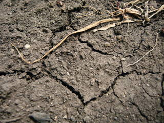 crack in the ground