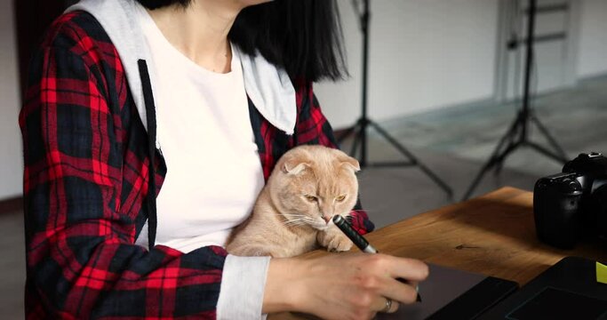 Creative female photographer with cute cat, using graphic drawing tablet and stylus pen