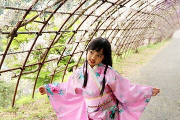 Yukata girl is posting with her beautiful smile within wisteria tunnel. Travel Japan series. Asian...