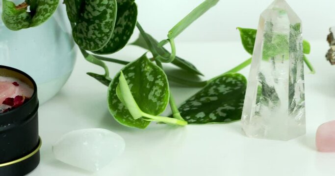 Close up pan of clear quartz point and rose quartz with plants against white