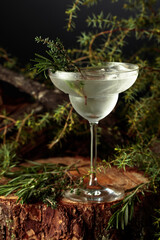 Gin and Tonic cocktail with rosemary and thyme.
