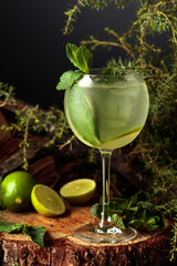 Gin and Tonic cocktail with lime and mint.