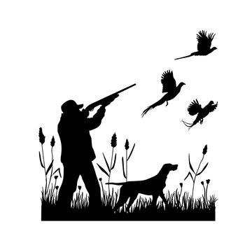 Hunting for pheasants with a dog. A man shoots a shotgun at flying birds while standing in the grass with reeds. Vector silhouette.