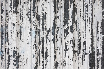 Fototapeta premium A fragment of a steel fence with a flying layer of white paint.Visible gray metal surface.Background. Texture.