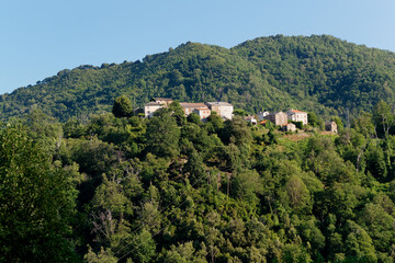 Fototapeta na wymiar Old village in Castagniccia forest. Corsica mountain