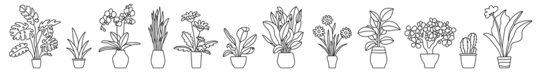 Indoor plant in a pot. Black and white sketch collecton. Vector doodle line illustration set. Monstera, philodendron, scarlet, orchid and snake plant. Gerbera, peace lily, chamomile, rubber and cactus