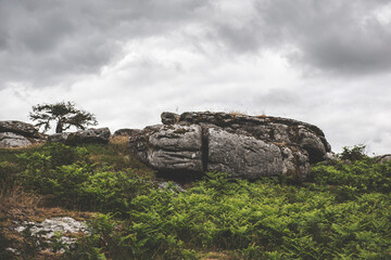 Dartmoor National Park, Landscapes