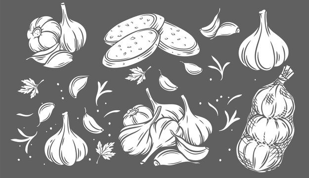 Garlic glyph black on white icon set. Pile of garlic bulbs, in net bag and runchy garlic bread. Vector illustration of vegetables.