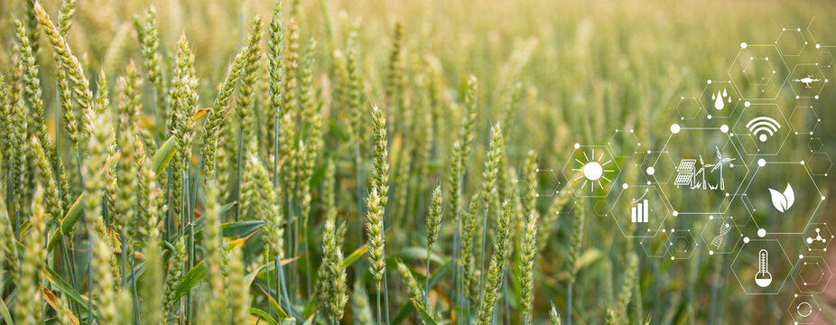 Concept of smart agriculture and modern technology