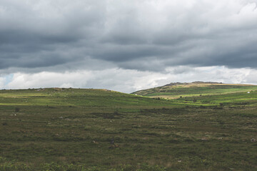 Fototapeta na wymiar Dartmoor National Park, Landscapes