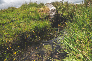 Dartmoor Landscapes, Dartmoor National Park, UK