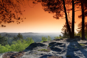 Trois Pignons forest panorama in the french Gatinais regional nature park