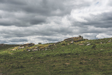 Dartmoor Landscapes, Dartmoor National Park, UK