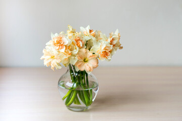 Bouquet of beautiful Daffodils in glass vase. Copy space. International Women's Day celebration. White wall background. Scandinavian interior.	