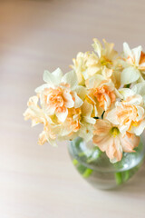 Bouquet of beautiful Daffodils in glass vase. Copy space. International Women's Day celebration. White wall background. Scandinavian interior.	