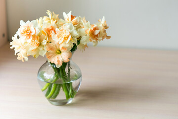 Bouquet of beautiful Daffodils in glass vase. Copy space. International Women's Day celebration. White wall background. Scandinavian interior.	