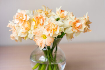 Bouquet of beautiful Daffodils in glass vase. Copy space. International Women's Day celebration. White wall background. Scandinavian interior.	