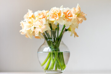 Bouquet of beautiful Daffodils in glass vase. Copy space. International Women's Day celebration. White wall background. Scandinavian interior.	