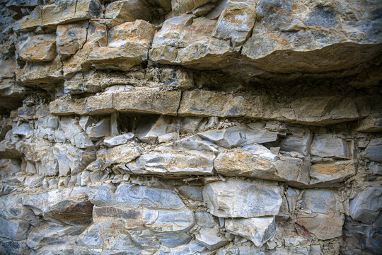 Shell limestone wall in the Wutach Gorge