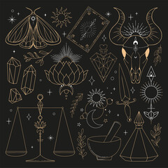 Gold and white line vector illustration