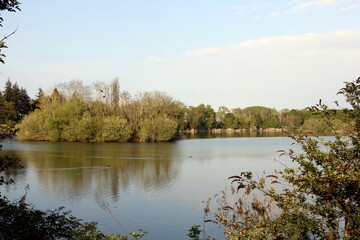 Etang du Corra en forêt de Saint-Germain-en-Laye