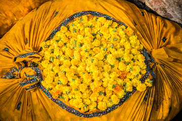 Colourful flower market in Jaipur India