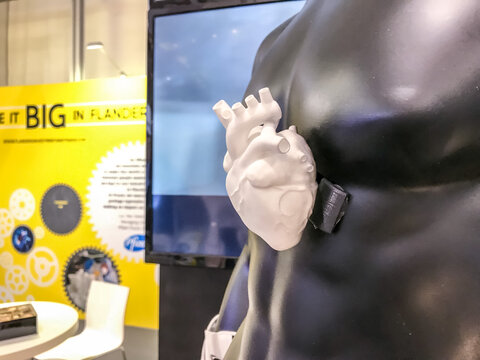 Hannover, Germany - April 2018: 3D printed anatomical heart using SLS technology in PA2200 by Tenco DDM at Hannover Messe