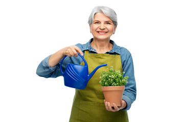 gardening, farming and old people concept - portrait of smiling senior woman in green garden apron...