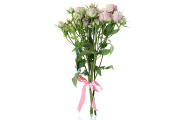 Beautiful roses flowers isolated on white background