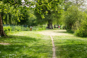 Promenade dans un parc au printemps avec des arbres, un chemin, de l'herbe et un chêne