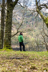 A Man in green jacket standing in forest admiring the landscape