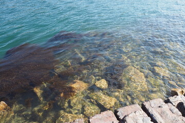 rocky turquoise sea 