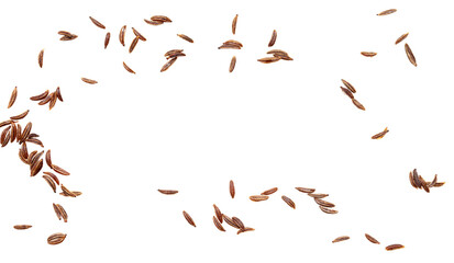 Caraway seeds isolated on a white background.