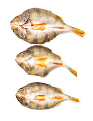 Dried fish isolated on a white