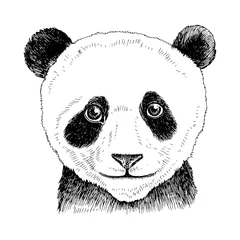 Foto op Canvas Hand drawn portrait of funny Panda bear baby  © Marina Gorskaya