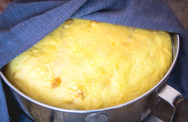 Yeast dough raw in a bowl. Homemade raw yeast dough