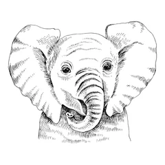 Tuinposter Hand drawn portrait of funny indian elephant baby © Marina Gorskaya