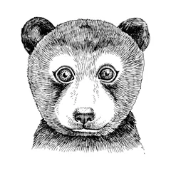 Foto op Canvas Hand drawn portrait of funny Bear baby © Marina Gorskaya