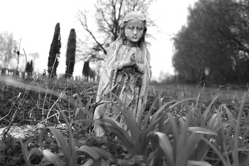 Old abandoned cemetery. A small stone statue of an angel on the grave of a cemetery in western Ukraine with a blurred background of tombstones. Black and white image.