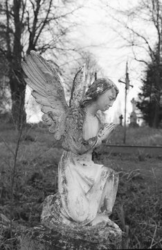 Old abandoned cemetery. A small stone statue of an angel on the grave of a cemetery in western Ukraine with a blurred background of tombstones. Black and white image.