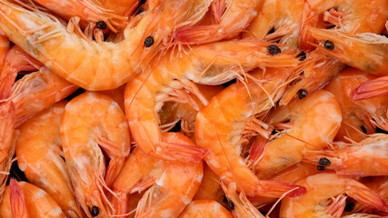 fresh shrimps top view close up